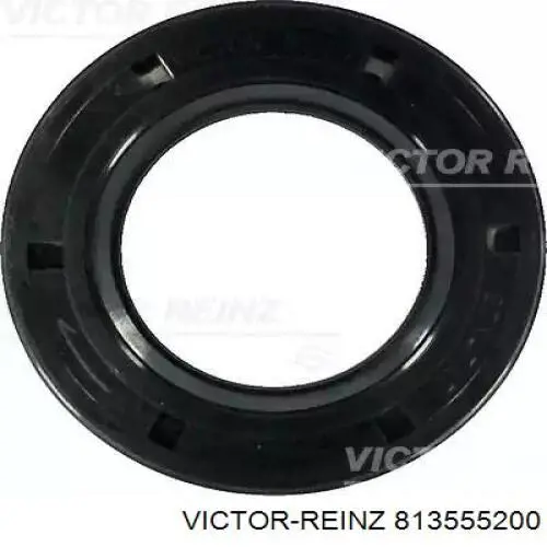 813555200 Victor Reinz Uszczelniacz wałka rozrządu silnika