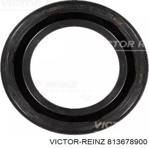 813678900 Victor Reinz Uszczelniacz wałka rozrządu silnika