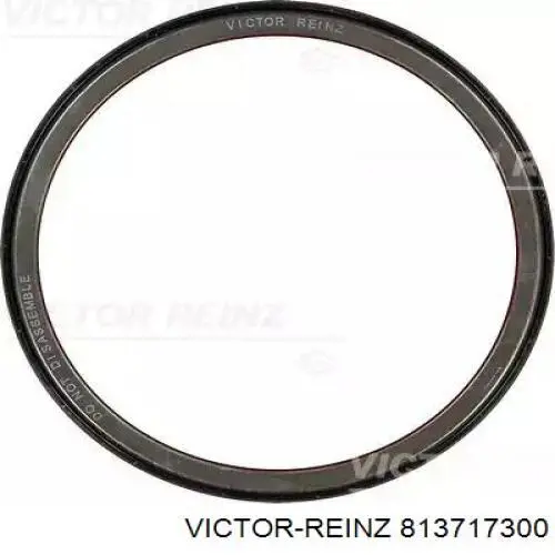 813717300 Victor Reinz Uszczelniacz wału korbowego silnika tylny