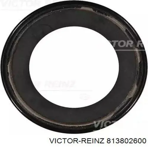 813802600 Victor Reinz Uszczelniacz półosi lewej mostu przedniego
