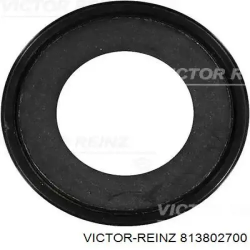 813802700 Victor Reinz Uszczelniacz półosi prawej mostu przedniego