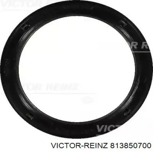 813850700 Victor Reinz Uszczelniacz wałka rozrządu silnika