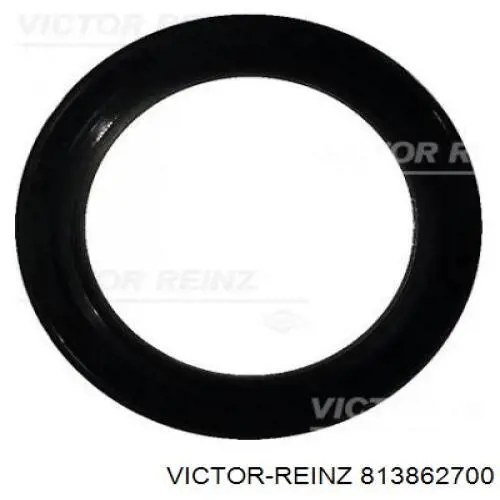813862700 Victor Reinz Uszczelniacz wałka rozrządu silnika