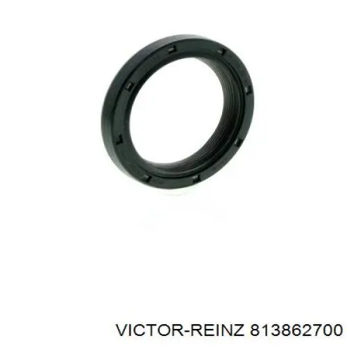 Uszczelniacz wałka rozrządu silnika Victor Reinz 813862700 cena, od 20,46 USD