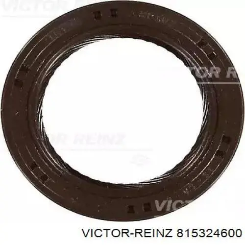 815324600 Victor Reinz Uszczelniacz wałka rozrządu silnika