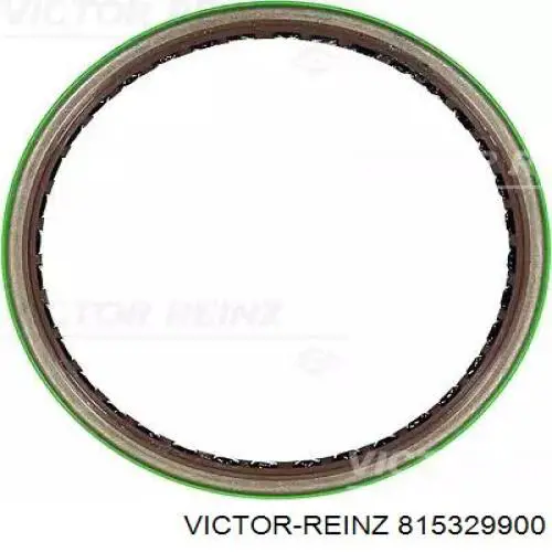 815329900 Victor Reinz Uszczelniacz wału korbowego silnika tylny