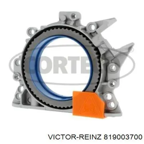 Uszczelniacz wału korbowego silnika tylny Victor Reinz 819003700 cena, od 64,88 USD