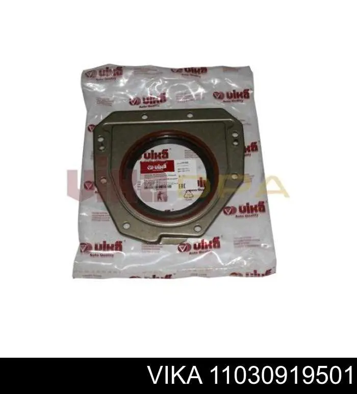 Do koszyka B19208 Borsehung Uszczelniacz wału korbowego silnika tylny