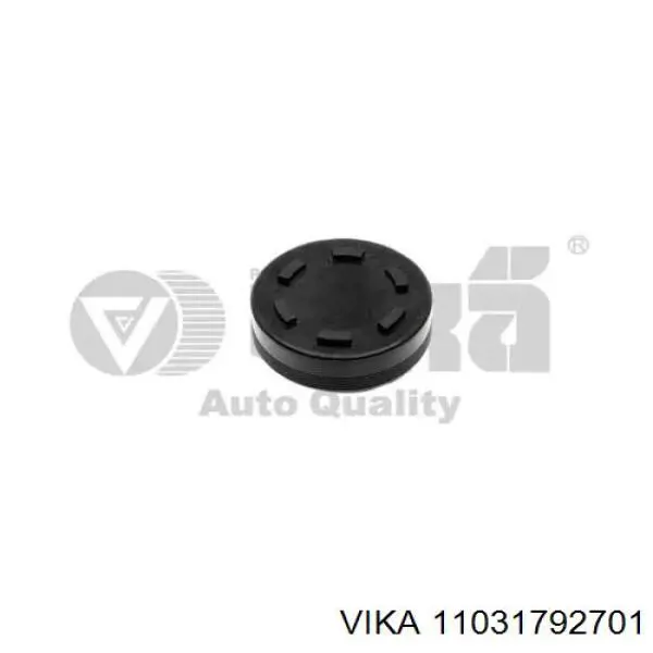 Do koszyka 078145117E VAG Zaślepka głowicy cylindrów/bloku cylindrów