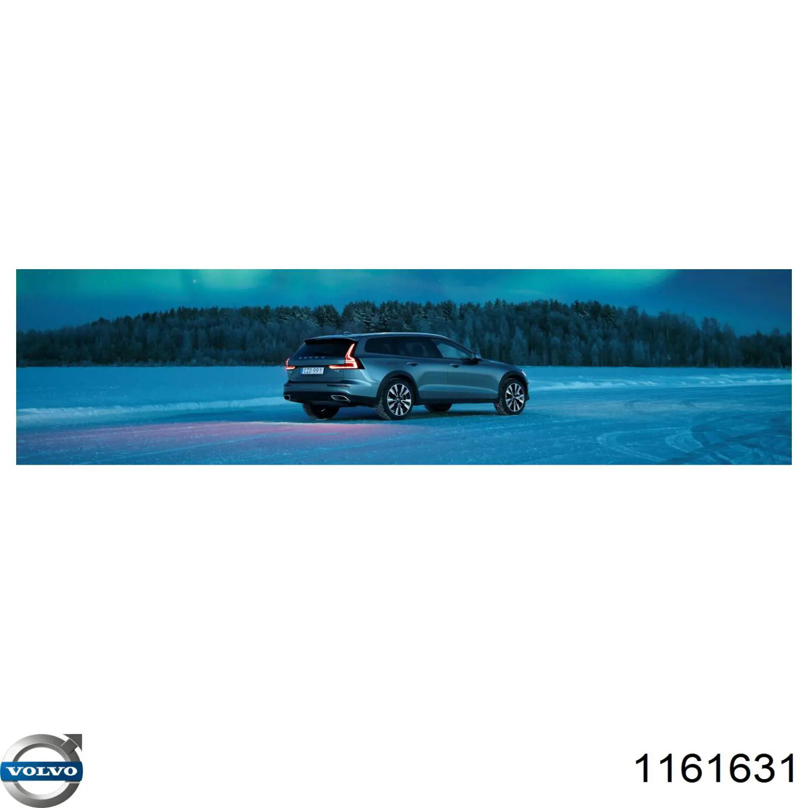 Olej do silnika Volvo 1161631 cena, od 30,09 USD