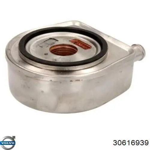 Do koszyka 30616939 Volvo Chłodnica oleju, pod filtrem
