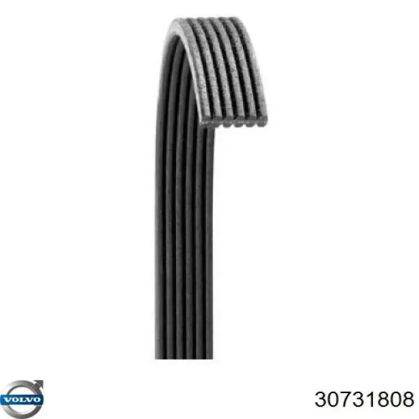 Do koszyka 30731808 Volvo Pas napędowy mechanizmów