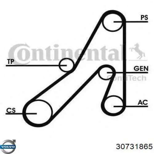 Do koszyka 30731865 Volvo Koło pasowe wału korbowego