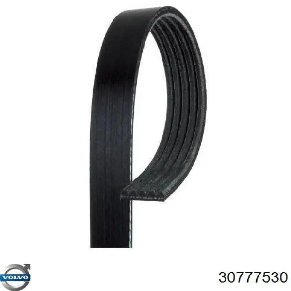 Pas napędowy mechanizmów 30777530 Volvo