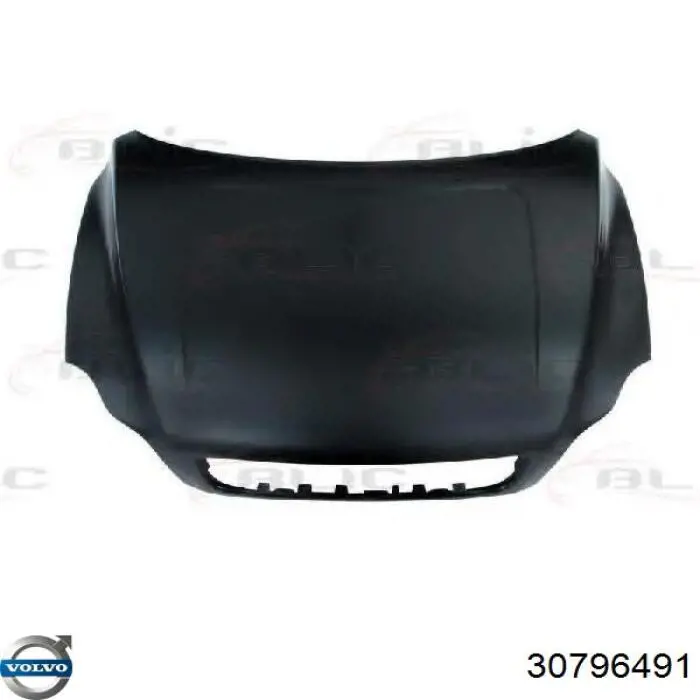 30796491 Volvo Maska silnika