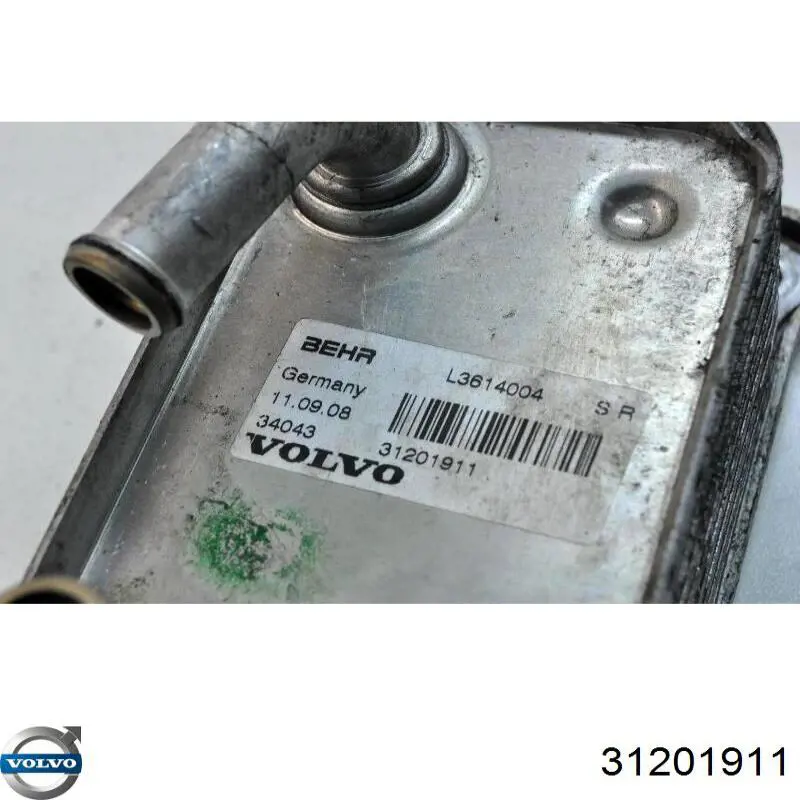 Do koszyka 31201911 Volvo Chłodnica oleju