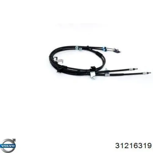 Czujnik ciśnienia paliwa Volvo 31216319 cena, od 66,52 USD