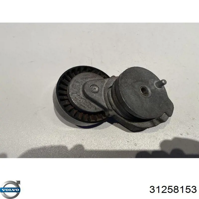 Napinacz paska napędowego Volvo 31258153 cena, od 42,61 USD