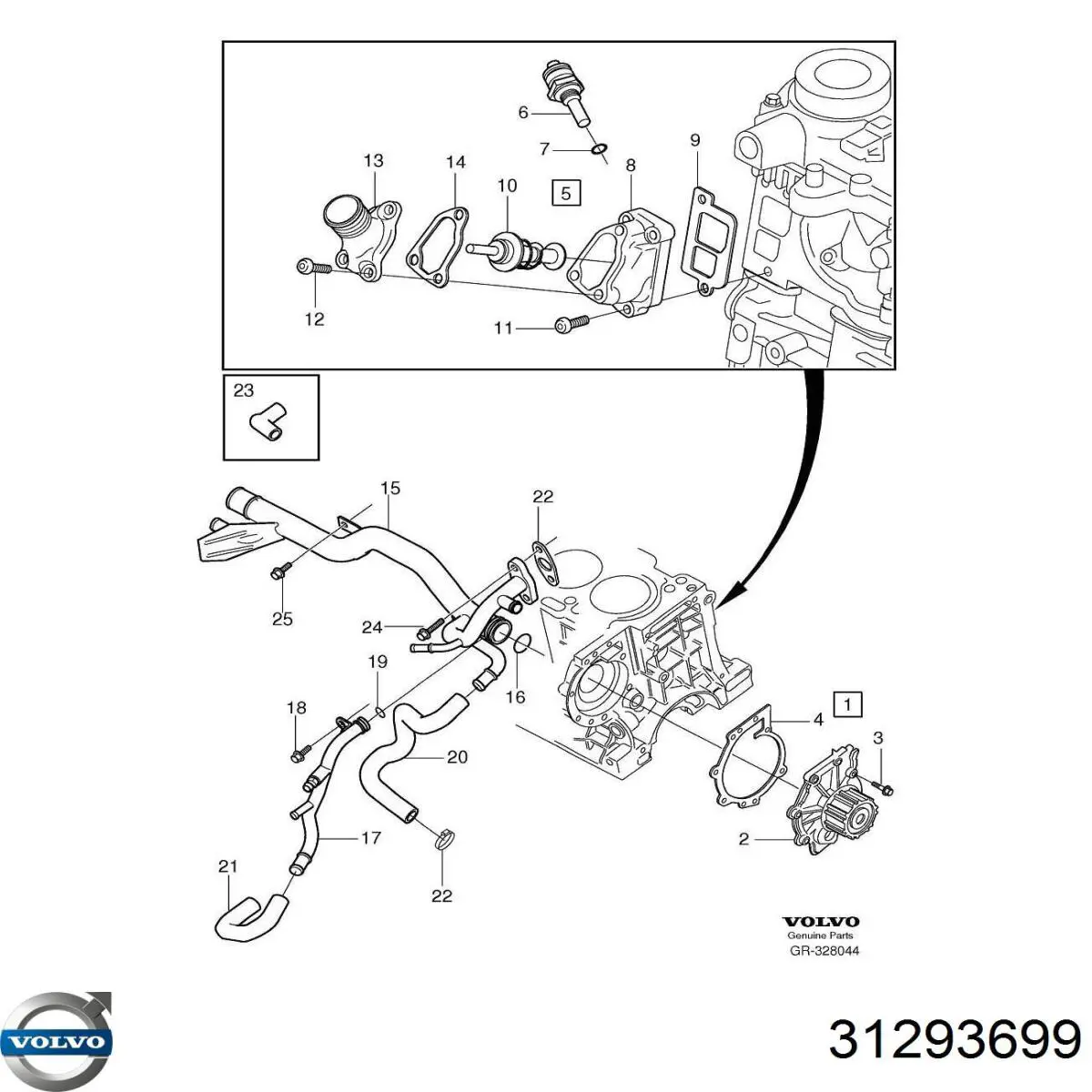 Termostat 31293699 Volvo