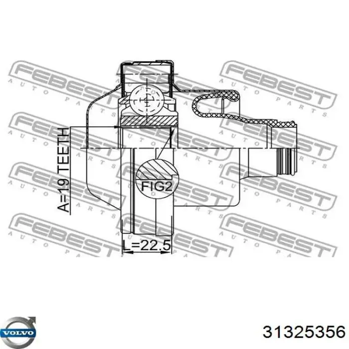 Do koszyka 31325356 Volvo Wał Cardana tylny, kompletny