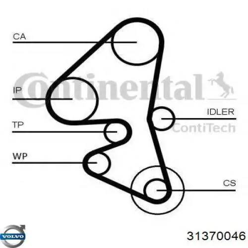 Do koszyka 31370046 Volvo Pasek rozrządu, zestaw
