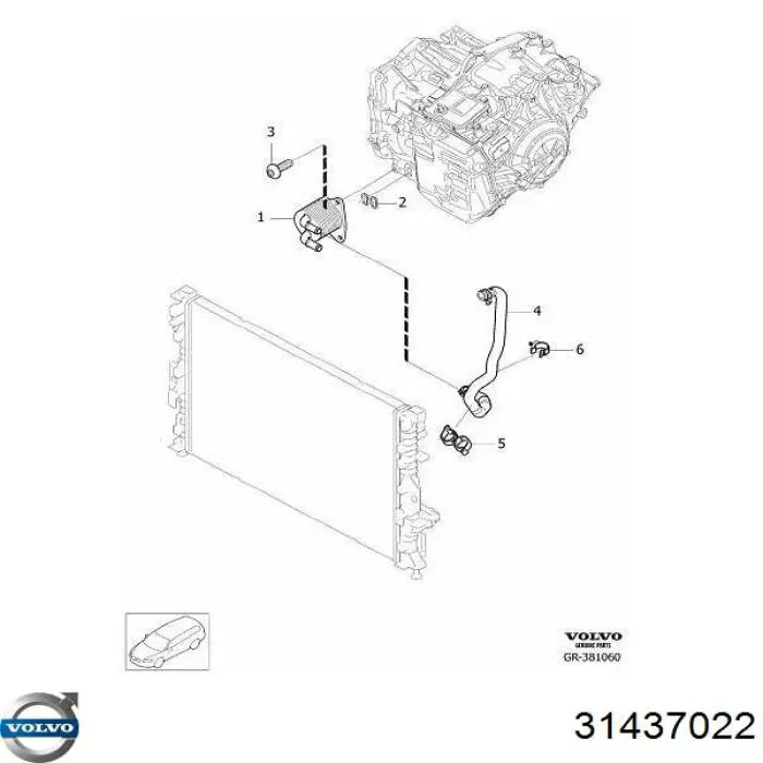 31437022 Volvo Chłodnica automatycznej/mechanicznej skrzyni biegów