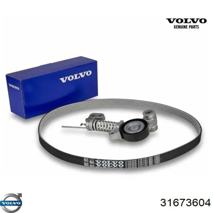 Świeca zapłonowa Volvo 31673604 cena, od 31,85 USD