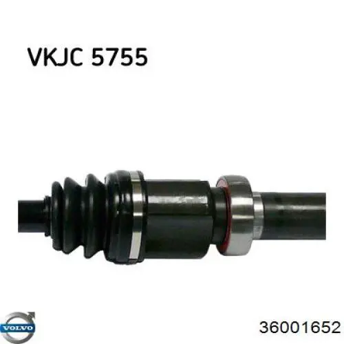 Przegub homokinetyczny przedni zewnętrzny Volvo 36001652 cena, od 45,70 USD
