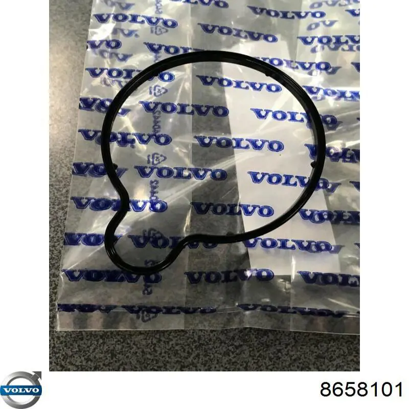 8658101 Volvo Uszczelka pompy próżniowej