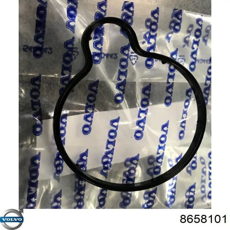 Uszczelka pompy próżniowej Volvo 8658101 cena, od 7,02 USD