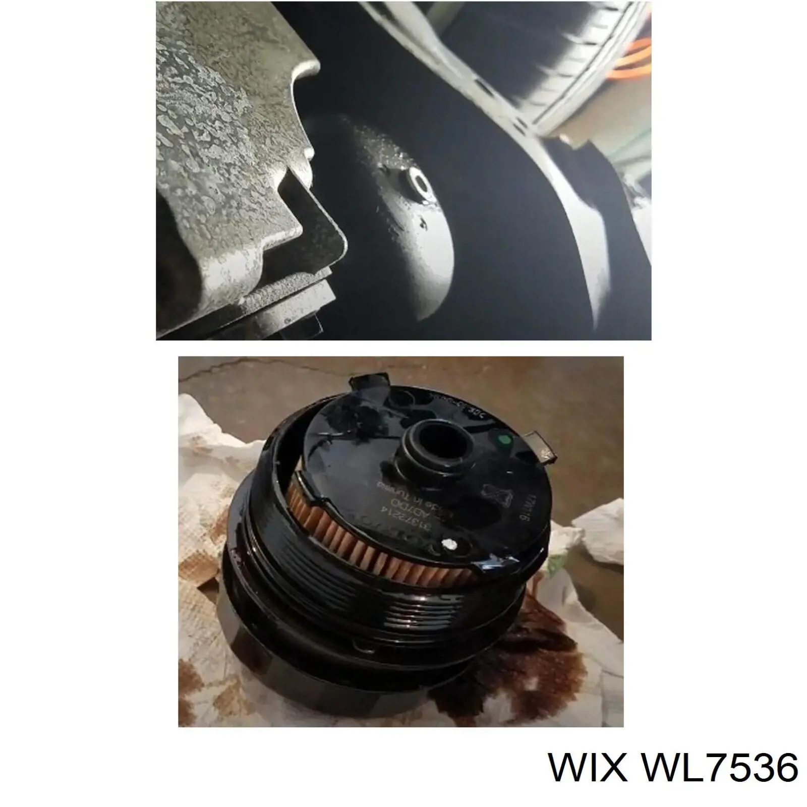 Filtr oleju WIX WL7536 cena, od 9,05 USD