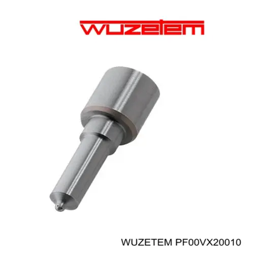 Rozpylacz wtrysku diesla do Mercedes R (W251)