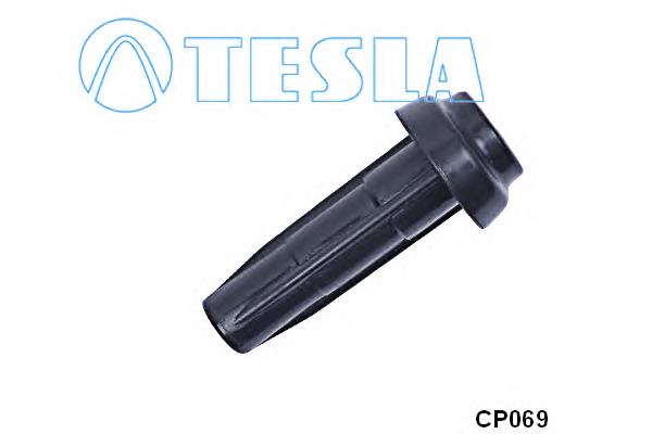 CP069 Tesla