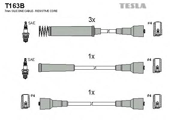 T163B Tesla
