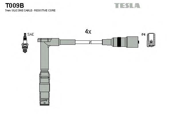 T009B Tesla