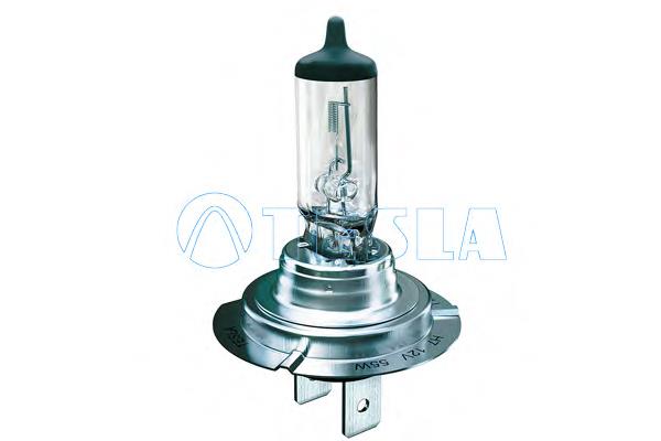 B10701 Tesla