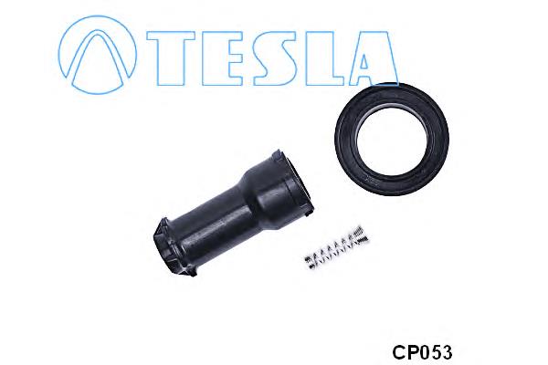 CP053 Tesla