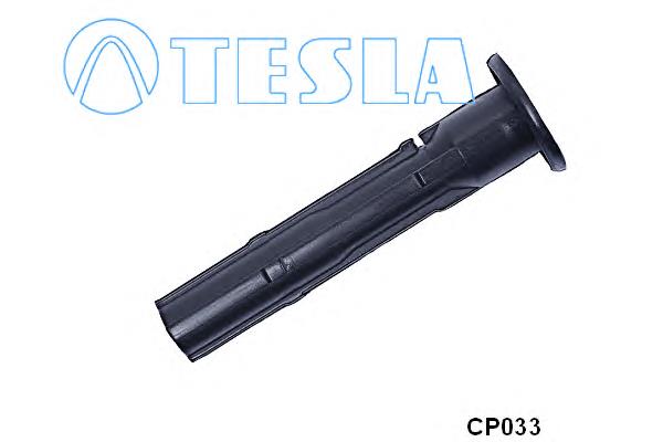 CP033 Tesla