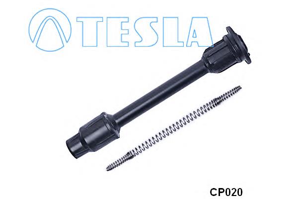 CP020 Tesla