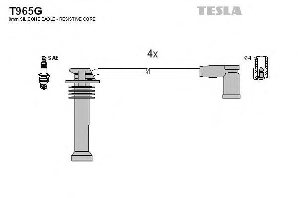 T965G Tesla