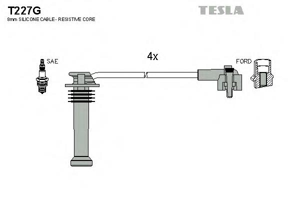 T227G Tesla