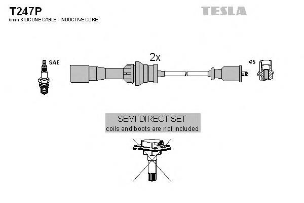 T247P Tesla