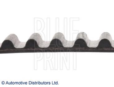 Do koszyka 2431222010 Hyundai/Kia Pasek rozrządu