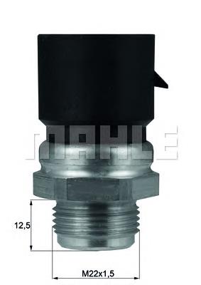 TSW37D Mahle Original