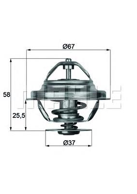 TX 20 80D Mahle Original termostat