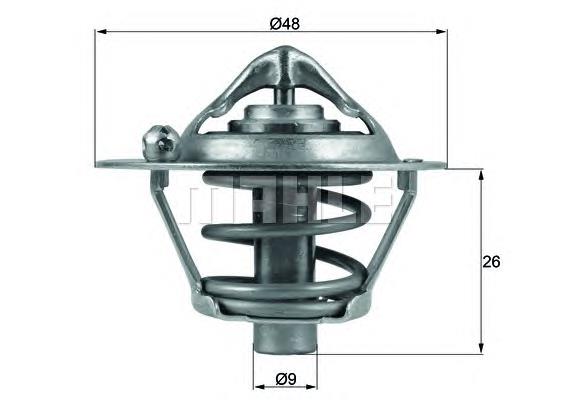 1306004 Ford Termostat