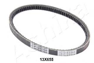 10913X660 Ashika Pas napędowy mechanizmów