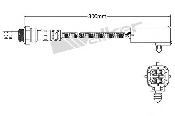  Walker 25024004