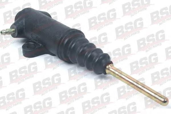 BSG60425006 BSG