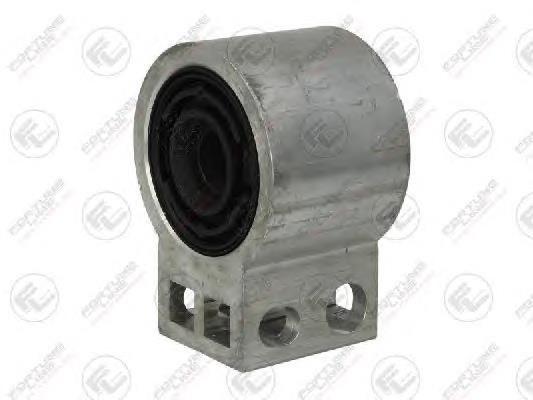 FZ9581 Fortune Line
